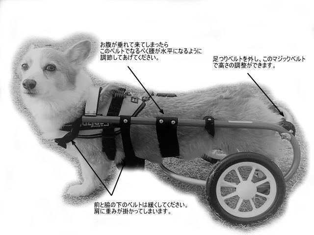 希望者のみラッピング無料 ポチの車椅子 中 大型犬用 millenniumkosovo.org