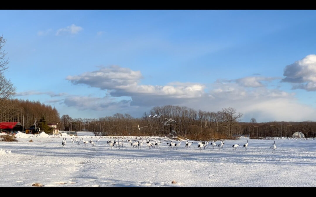 明けましておめでとうございます