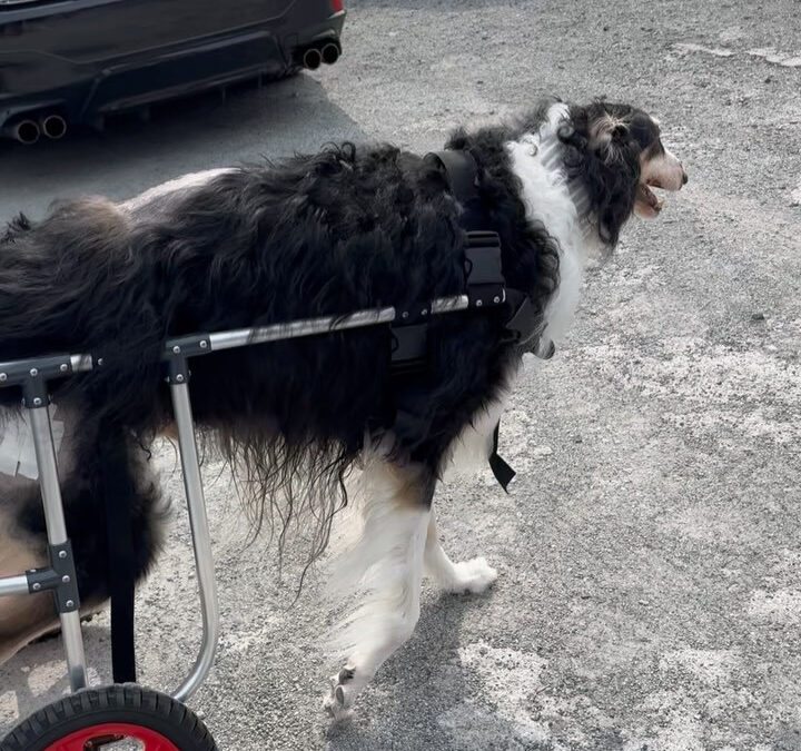 カッコ良い写真を発見しました❗️