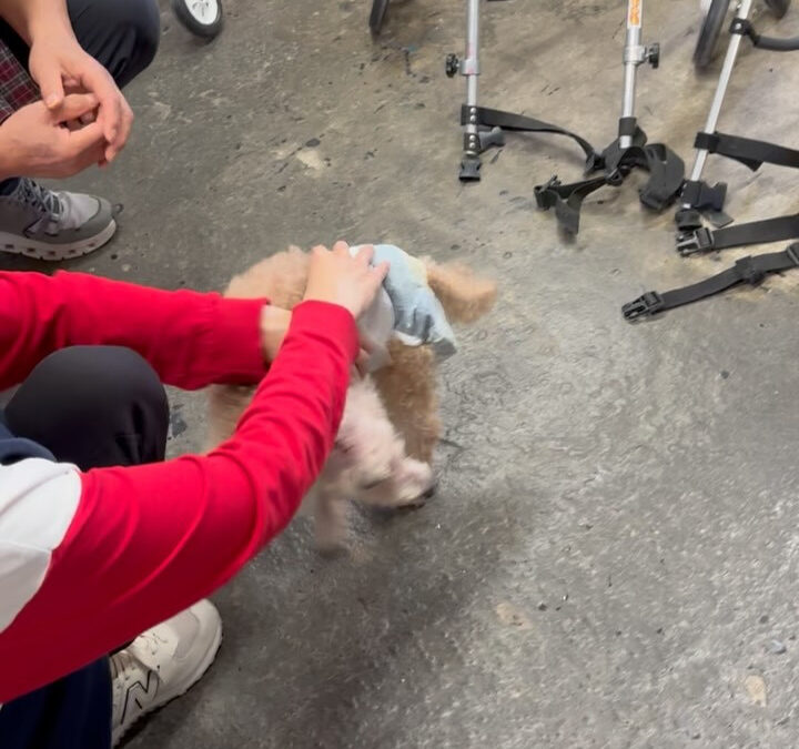 今日のグル活さん