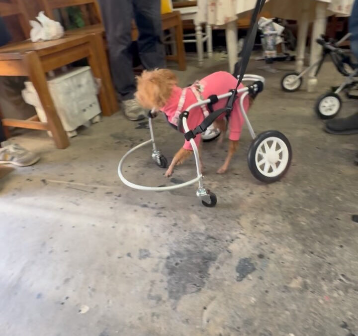 みんな頑張っています