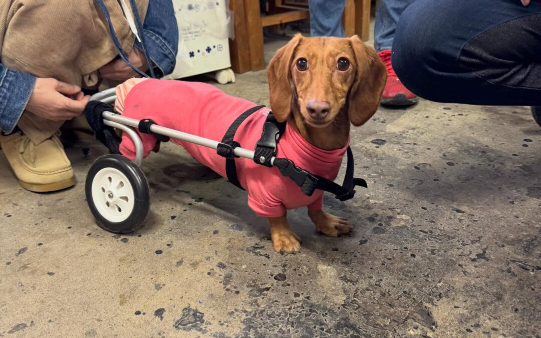 今回の子達も頑張りました☺️